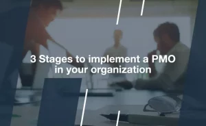 PMO in your organization