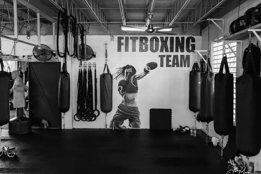 Fit-boxing